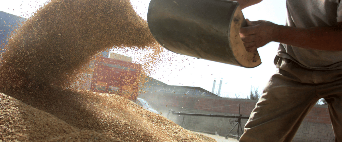 Bulk animal feeds, brewers yeast, and other inputs for sale.