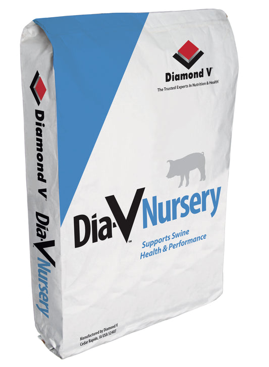 DIA-V NURSERY