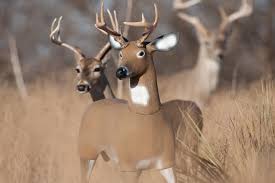 RACK PLUS DEER TUB