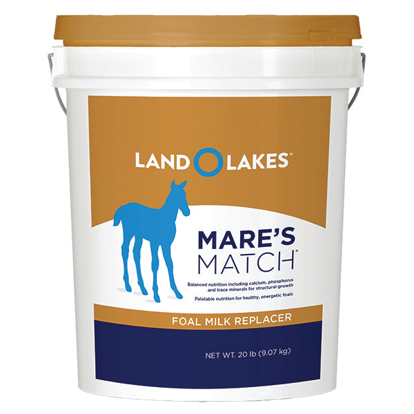 LOL MARE'S MATCH FOAL MR PAIL