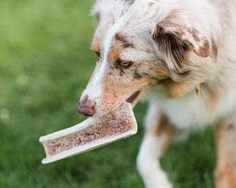 2 PK 12-14" Braided Pig Puzzle