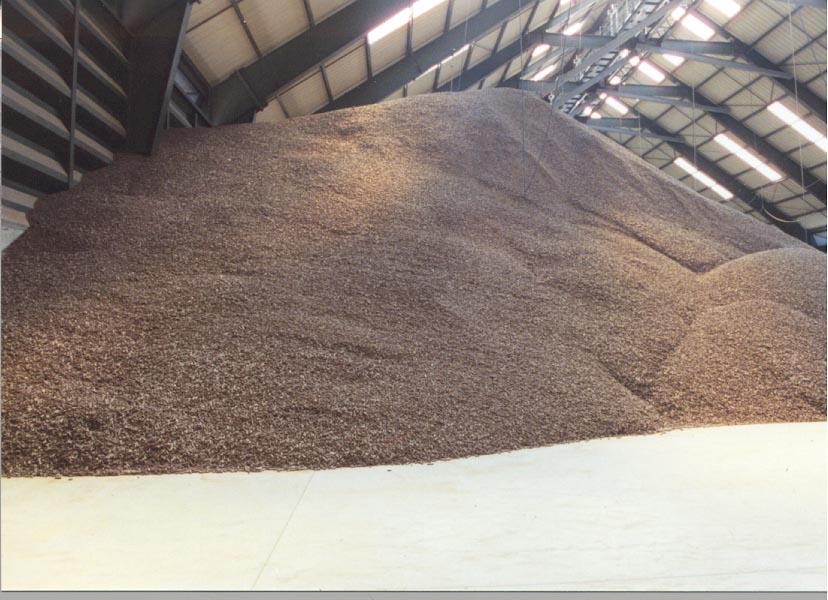 Beet Pulp Pellets Grain Bulk By the Ton NY