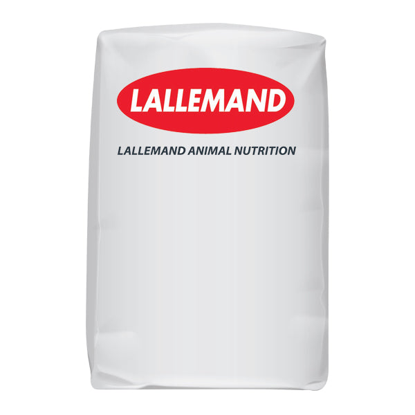 LITTERBOOST (62.5G X 10)