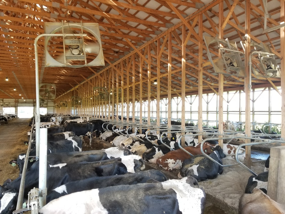 Mushroom Substrates, Masters Mix and Livestock Feed Feeds for Less