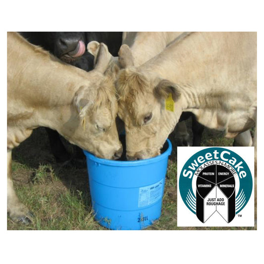 200# Sweetcake 20% All Natural Dairy/Beef/Equine Tub MP20