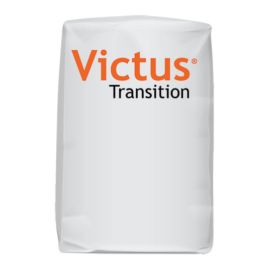 VICTUS TRANSITION