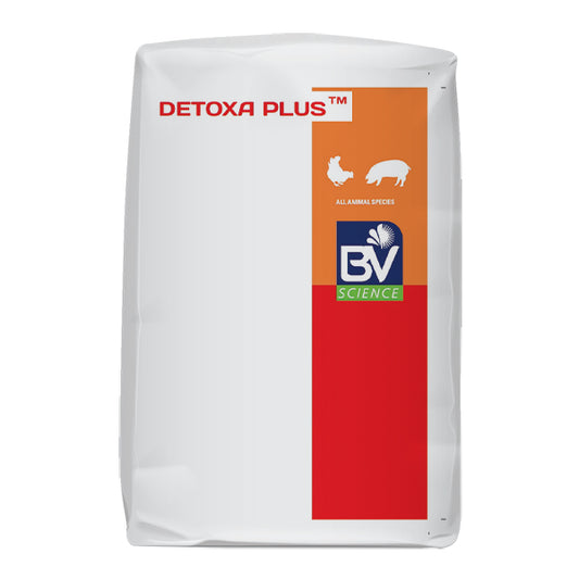 DETOXA PLUS