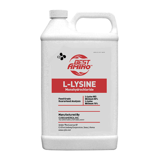 L-LYSINE 55% LIQUID CJ (BULK)