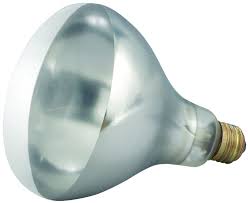 Clear Heat Lamp Bulb 250W