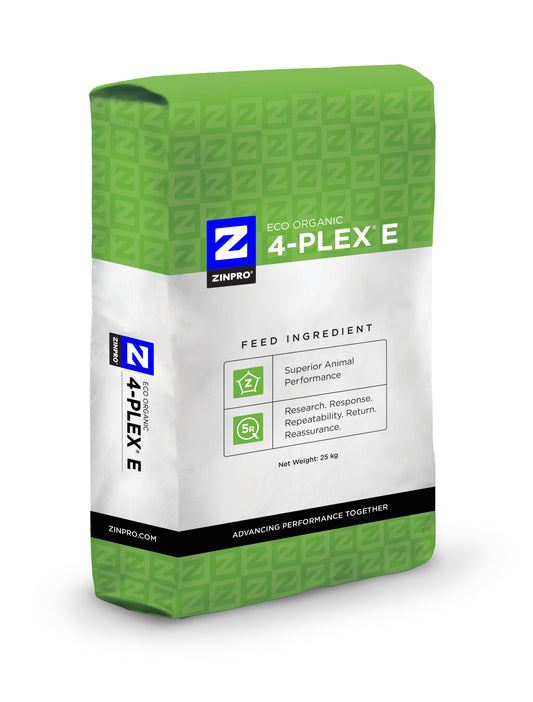 4-PLEX E