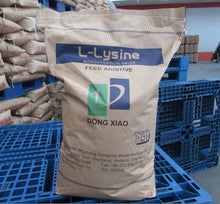 L-Lysine 98% 55 Lb Bags NY