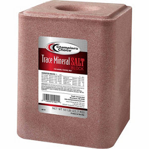 SHEEP 22 RED BLOCK
