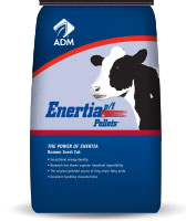 By Pass Fat Pellets ADM Brand Enertia 50 Lb Bags (Calcium salts)