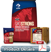 GROWSTRONG POWERGLOW HORSE FEED
