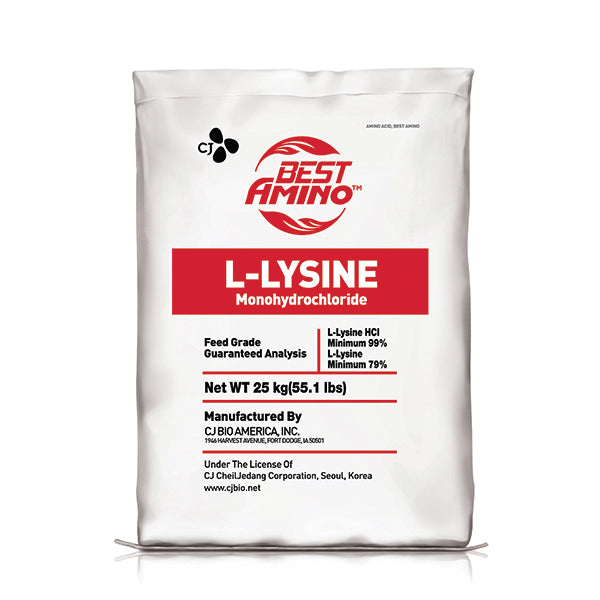 L-LYSINE HCL CJ