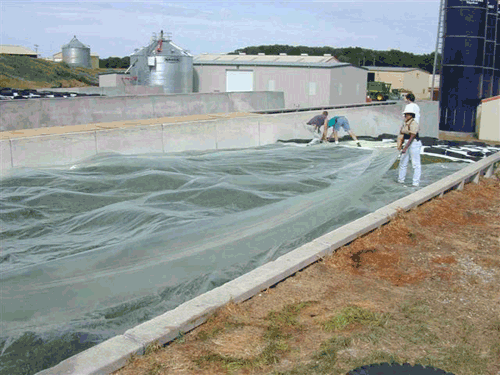 Oxygen Barrier 2 Mil Thick 50 Feet Wide 200 Feet Long Bunk Silo Plastic (More Sizes Available)