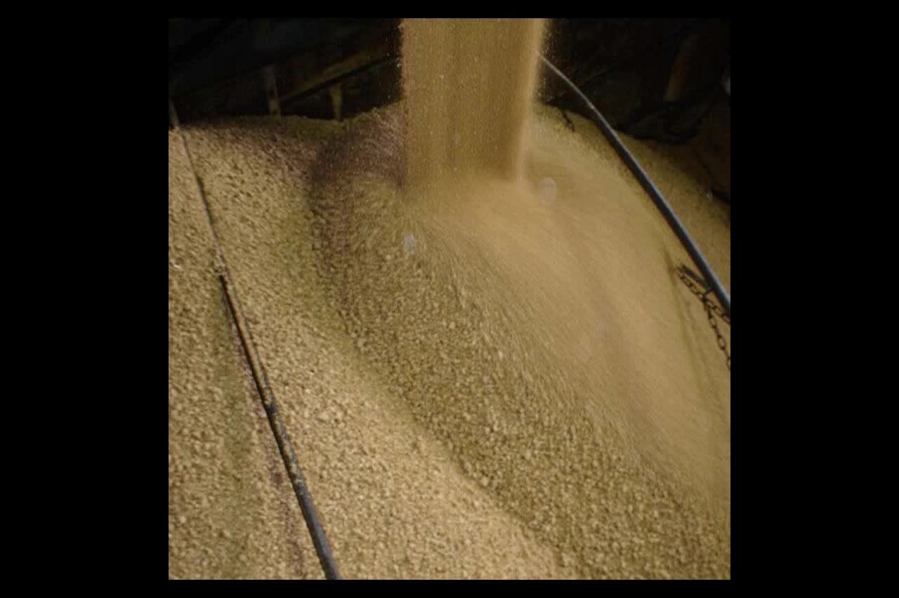 Organic Soymeal (46%) Bulk By the ton. (Sheppard Grain) Imported