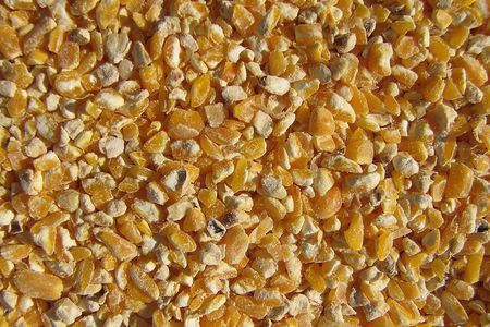 Just Seeds - Cracked Corn  for your backyard birds