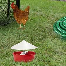 Auto Poultry Waterer w/ Cover