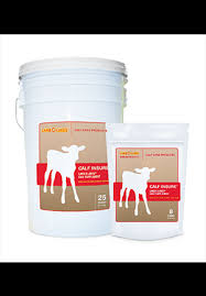 Purina Calf Insure Probiotic 25 Lb bucket