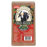 Billy Block 4 lb Berry Bush