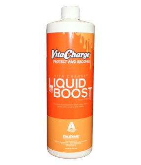Vita Charge Liquid Boost-32 oz Bottle (Case 12)