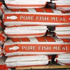 Fish Meal 50 Lb Bag